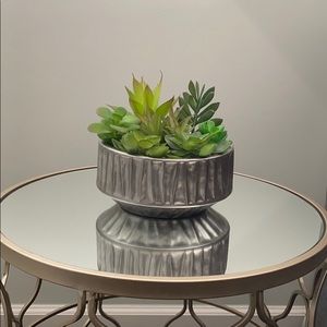 🌈Potted succulent decor
